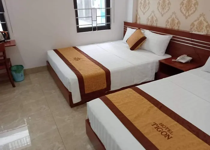 Hotel Tigon *
